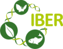 IBER Logo